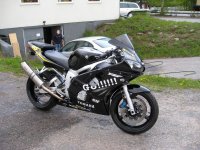 R6a2.JPG