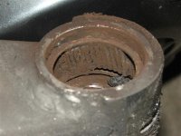 DSCF7689 (Small).JPG