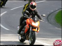 bild-023.jpg