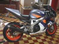 bladen snett bakifrån nt.jpg