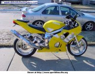 gul r6'a.jpg
