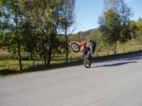 bild 002.jpg