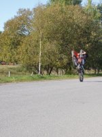 bild 008.jpg
