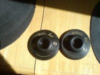 DSC00173.JPG
