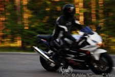 DSC_1879.jpg