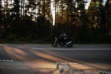 DSC_1910.jpg