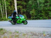 DSC_2296s.jpg