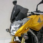 hornet2007screen.jpg