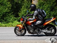 DSC_3076.JPG