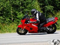 DSC_3080.JPG