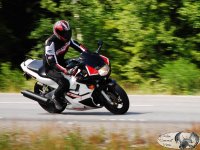 DSC_3116.JPG