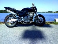 DSC00275.JPG