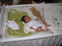 IMG_1510 (Large).jpg