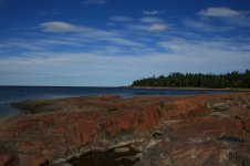 IMG_464350.jpg