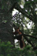 IMG_461150.jpg