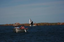 IMG_452250.jpg