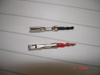 DSC02488.JPG
