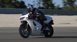 IMG_3223 copy.jpg