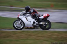 IMG_5618.jpg