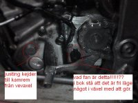DSC00165 wtf.JPG