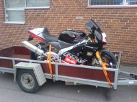 2008 Sunny Beach 005.jpg