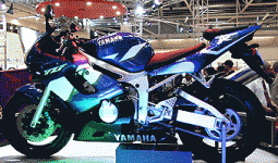 r 6.gif