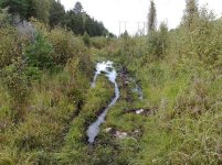 20080827189.jpg