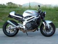 Falco_caferacer_1.jpg