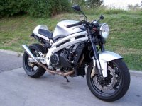 Falco_caferacer_3.jpg
