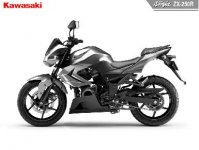 kawasaki-ninja-250r-streetking-rebo2.JPG