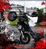 redtech highWheelie copy.jpg