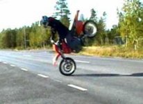 högstoppie2.jpg