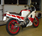 tzr 4.gif