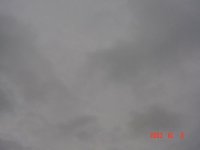 gazz_031008_2.jpg