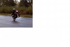 bmw wheelie.jpg
