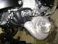DSC07668-1.jpg