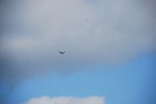 DSC_0201.JPG