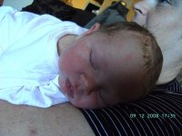 PICT0695.jpg
