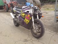DSC00052.JPG