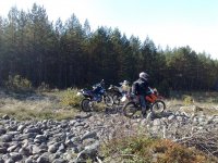 20080928217.jpg