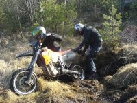 skogen 016 (Large).jpg