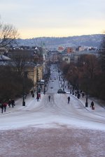 IMG_8282.jpg