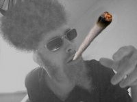 rasta2.jpg