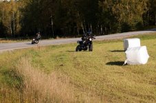 2899851468_43839c2529_b[1].jpg