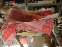 DSC00160.JPG