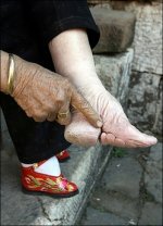 lilje_3410661-thumb-250x345.jpg