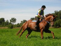 DSCN2341liten.JPG