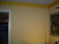 DSC00002 (Large).JPG