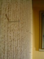 DSC00007 (Large).JPG