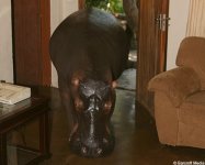hippohouse2.jpg